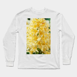 Hyacinthus orientalis  &#39;Gipsy Princess&#39;  Hyacinth Long Sleeve T-Shirt